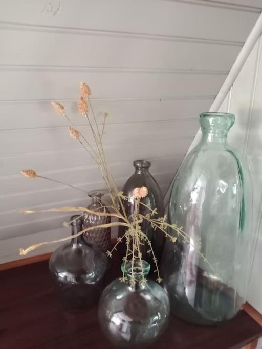 Micro Maison Isba Sedan Givonne Extérieur photo